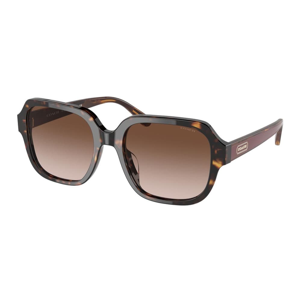 Coach HC8335U C7989 512013 Sunglasses Brown 140mm Women
