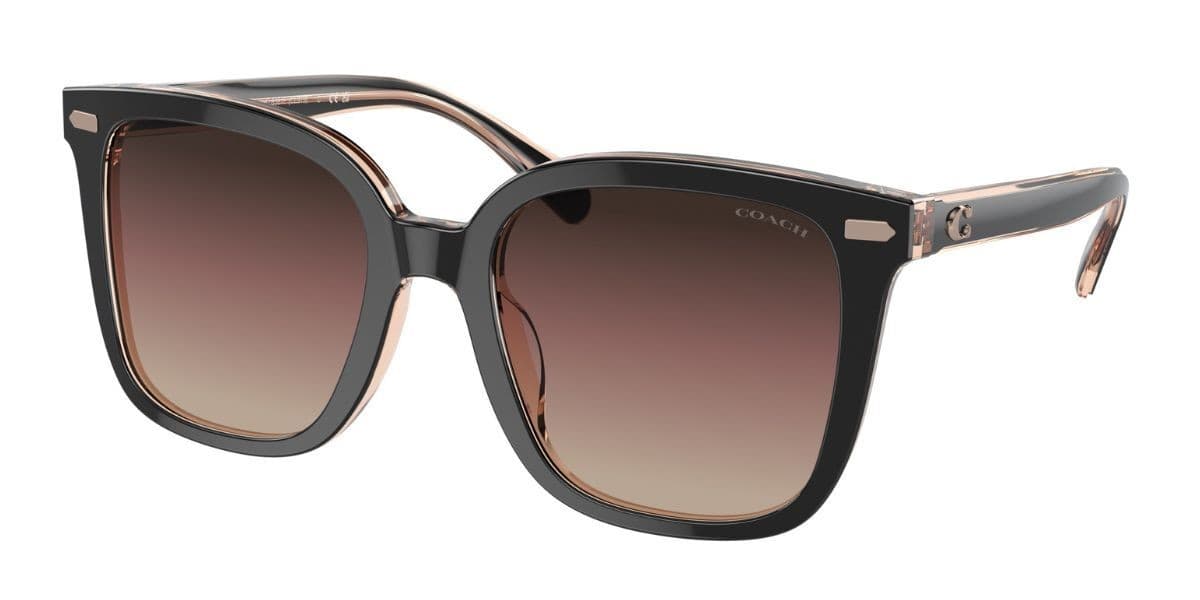 Coach HC8381F CL919 5781E2 Sunglasses Multicolor 150mm Women