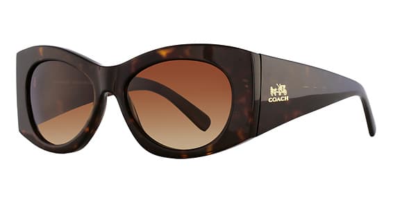 Coach HC 8127 L106 Charley 500211 Black Sunglasses Black Women