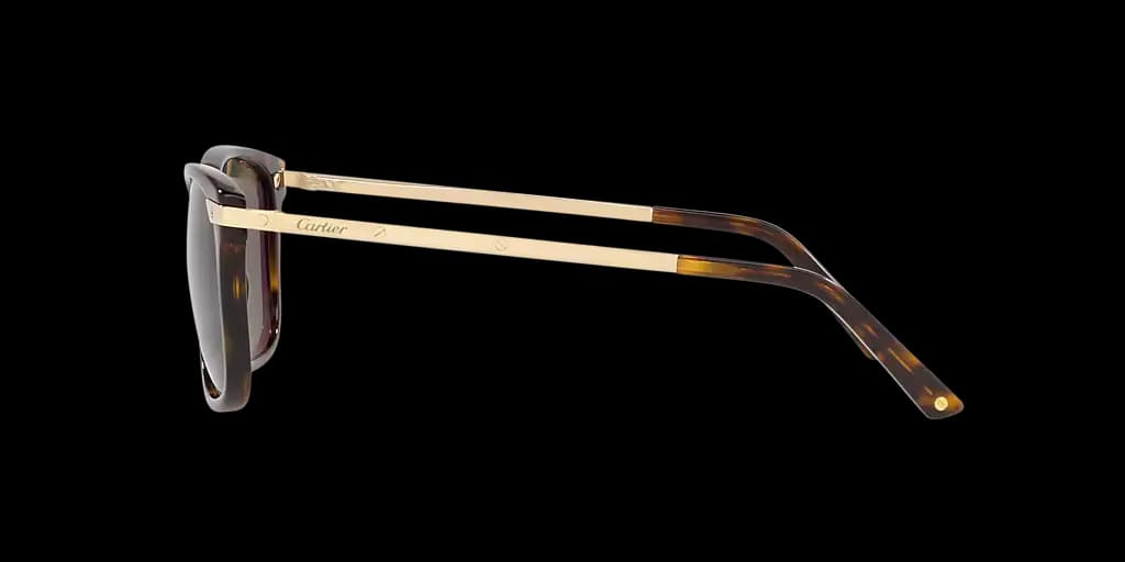 Cartier CT0104S 002 Sunglasses Havana 57mm Men 3