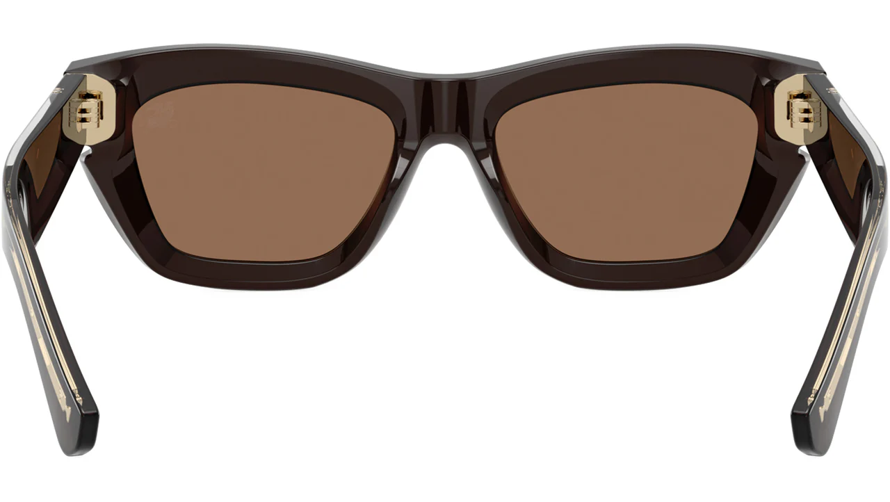 Burberry 0BE4454 411673 Sunglasses Brown 52mm Women 4