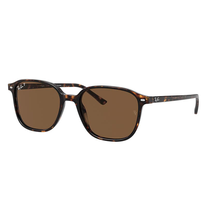 Ray-Ban RB2193 LEONARD 902/57 RB2193 Sunglasses Brown 145mm Men