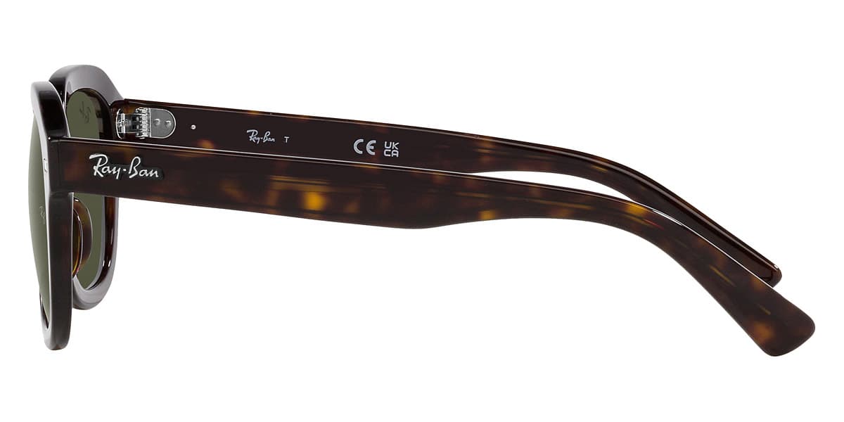 Ray-Ban RB4398 ERIK 902/31 Sunglasses Brown 53mm Men 3