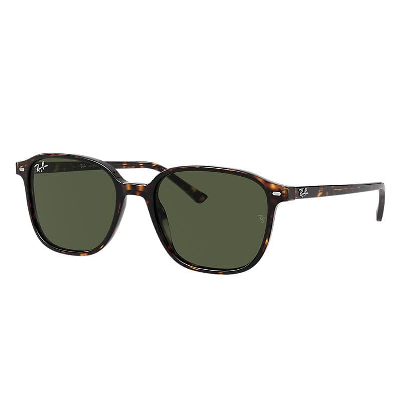 Ray-Ban RB2193 LEONARD 902/31 RB2193 Sunglasses Brown 145mm Unisex