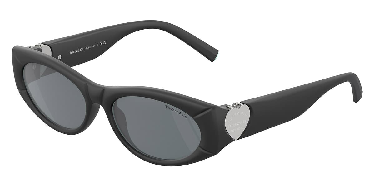 Tiffany & Co. TF4222-U 8413/6G Sunglasses Black 140mm Women 2