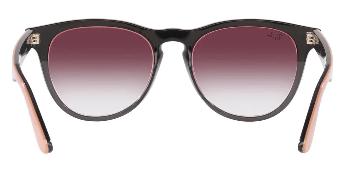 Ray-Ban RB4471 IRIS 66338H Sunglasses Black Beige 54mm Women 4