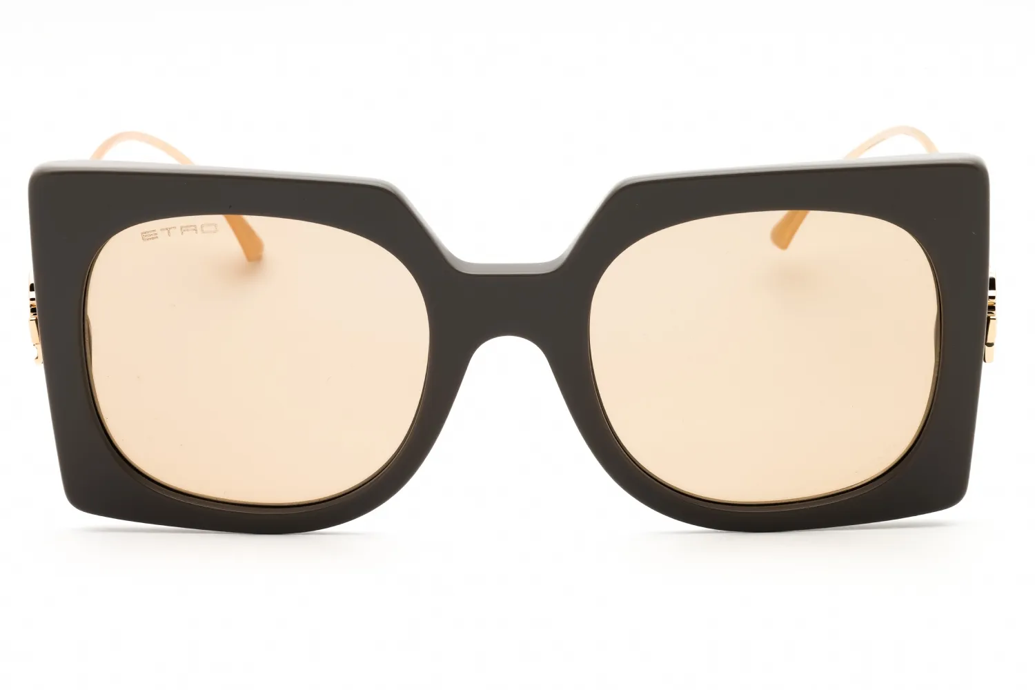 Etro ETRO 0026/S 079U 70 Sunglasses Mud 54mm Women 2