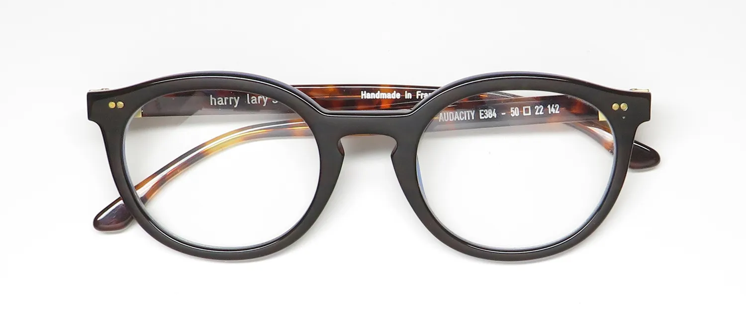 Harry Lary Audacity e384 Eyeglasses Brown 50mm 2