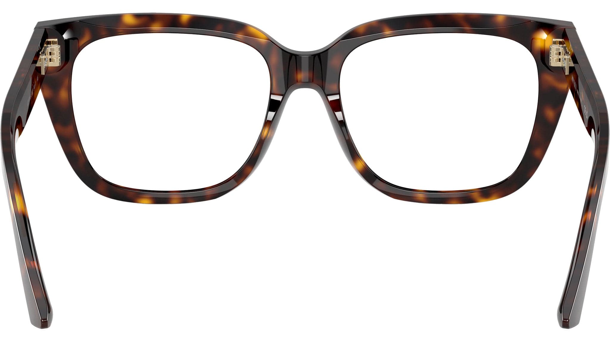 Jimmy Choo 0JC3019B 5002 Eyeglasses Havana 54mm Women 4