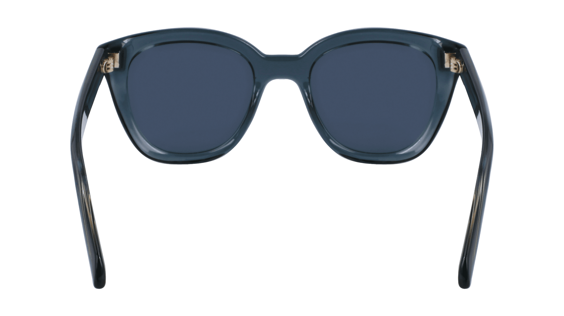 Salvatore Ferragamo SF2000S 438 Sunglasses Transparent Avio 52mm 4