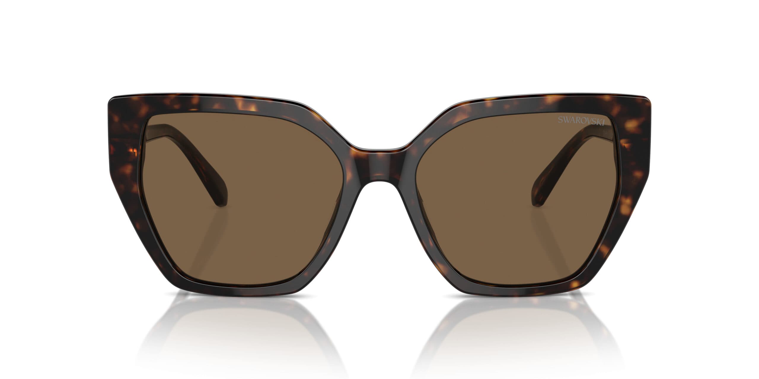 Swarovski SK6016 100273 Sunglasses Dark Havana 56mm Women 2