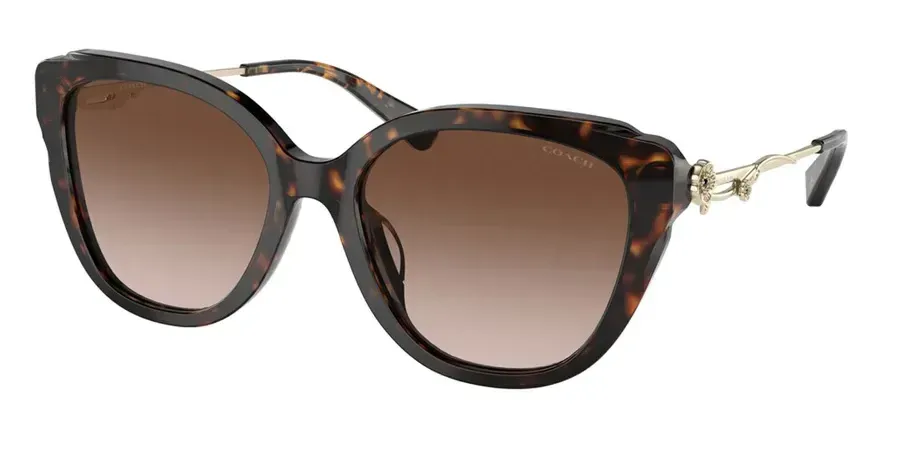 Coach HC8347BU 512013 Sunglasses Dark Tortoise 55mm Women