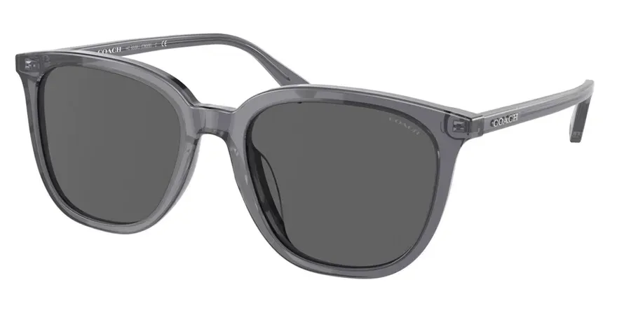 Coach HC8338U 553787 Sunglasses Transparent Dark Grey 55mm Men