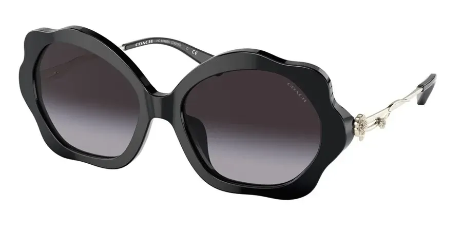 Coach HC8346BU Sunglasses Black 55mm Women
