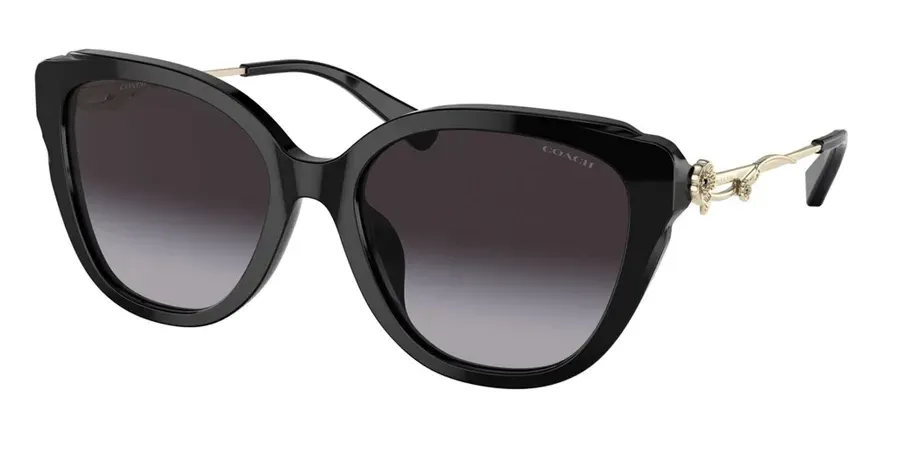 Coach HC8347BU Sunglasses Black 55mm Women