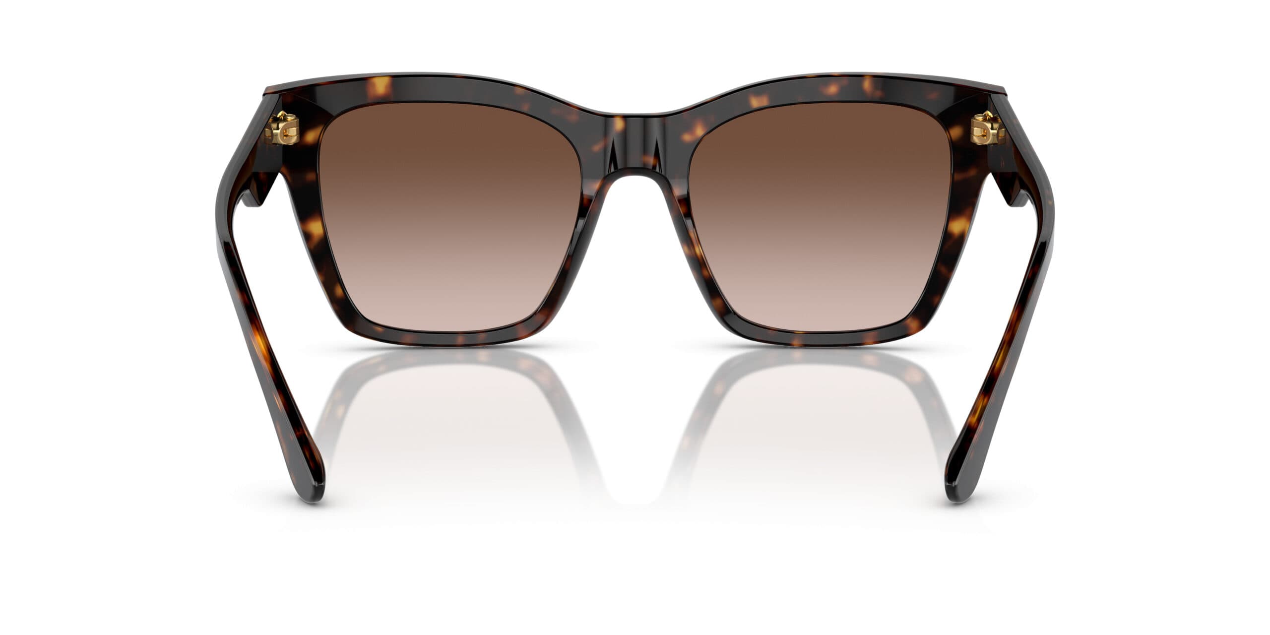 Dolce&Gabbana DG4384 502/13 DG4384 Sunglasses Brown 145mm Women 3
