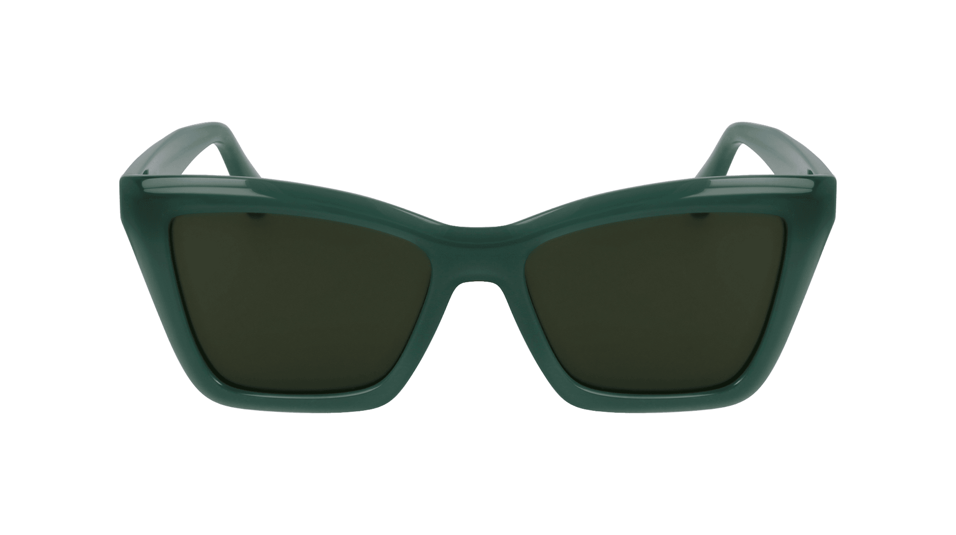 Salvatore Ferragamo SF2039SE 339 Sunglasses Opaline Green 53mm 2