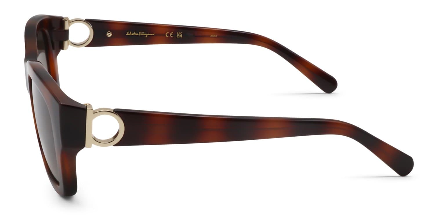 Salvatore Ferragamo SF1012S 214 Sunglasses Tortoise 53mm 3