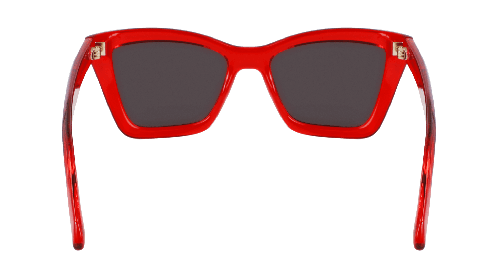 Salvatore Ferragamo SF2039SE 616 Sunglasses Transparent Red 53mm 4