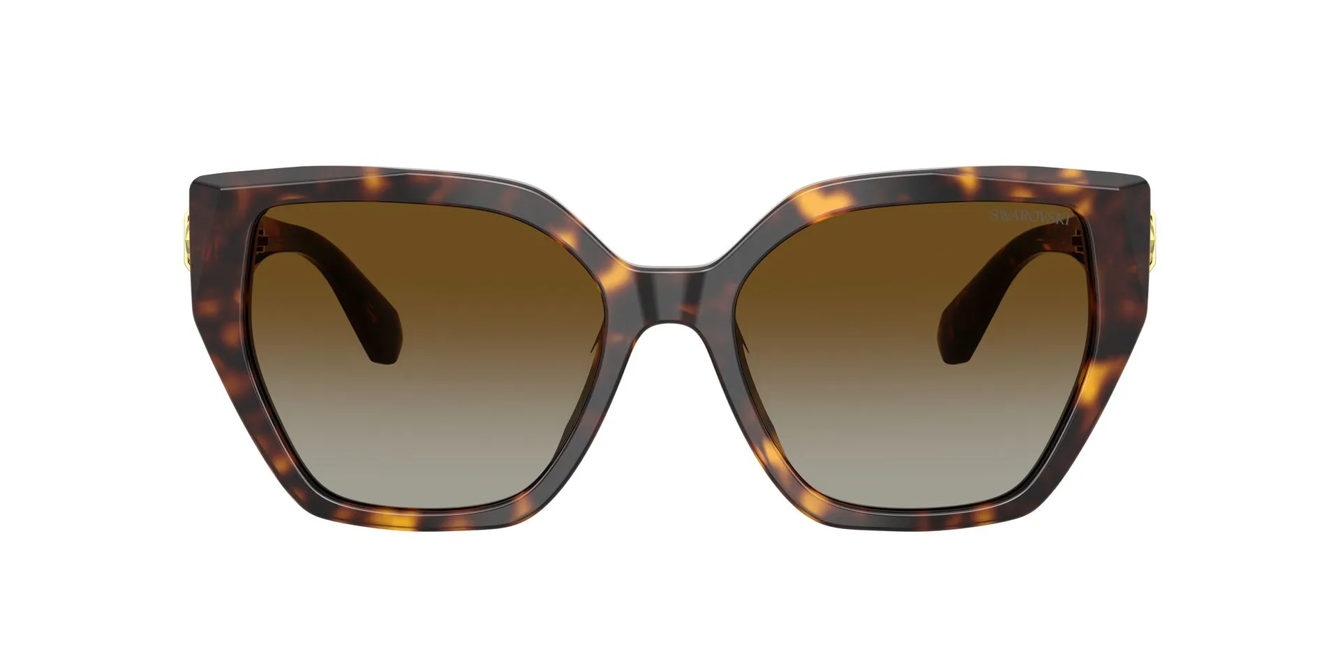 Swarovski SK6044U 1002T5 Sunglasses Havana 56mm Women 4