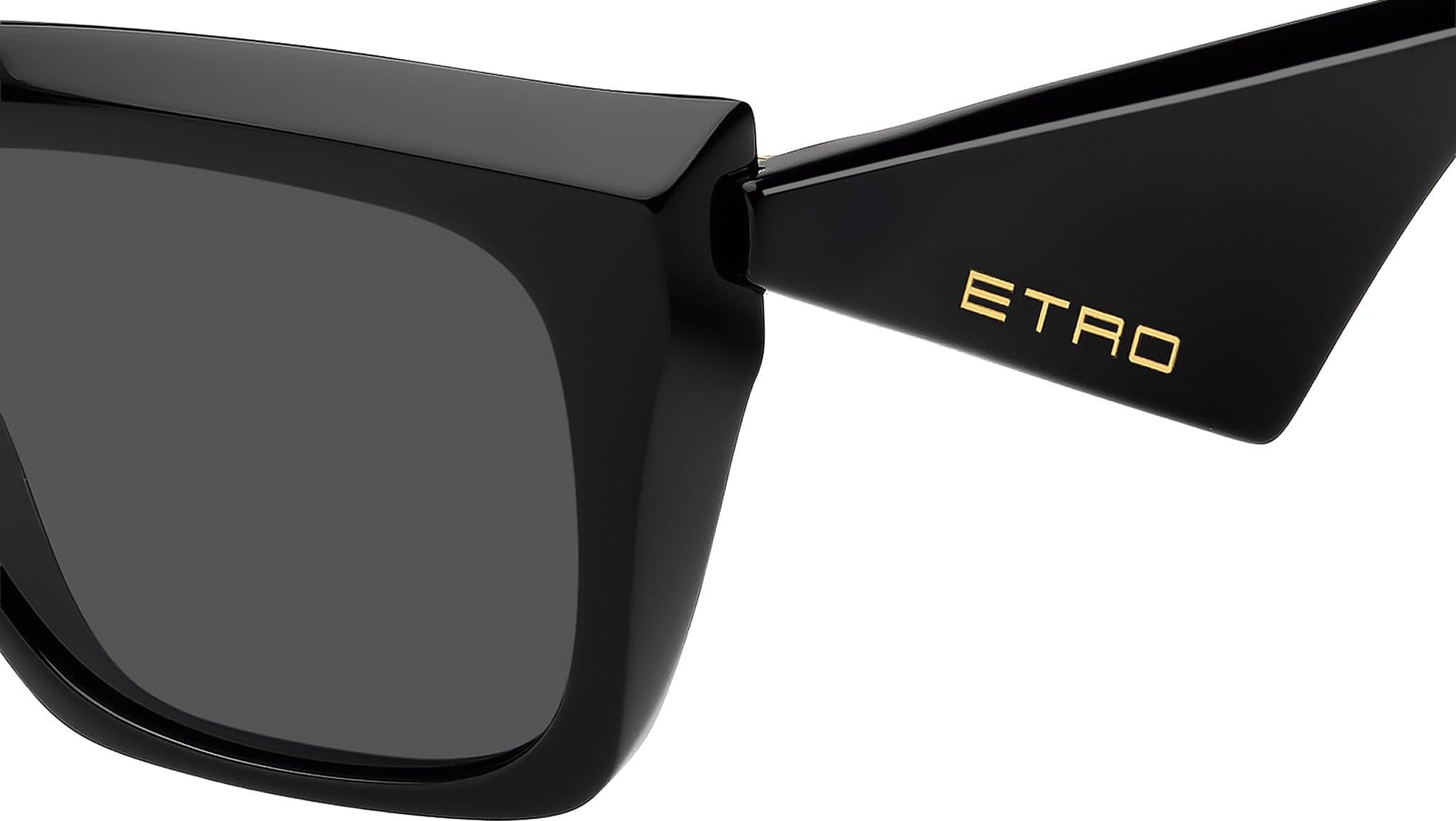 Etro ETRO 0095/S 0807 IR Sunglasses Black 57mm Women 3