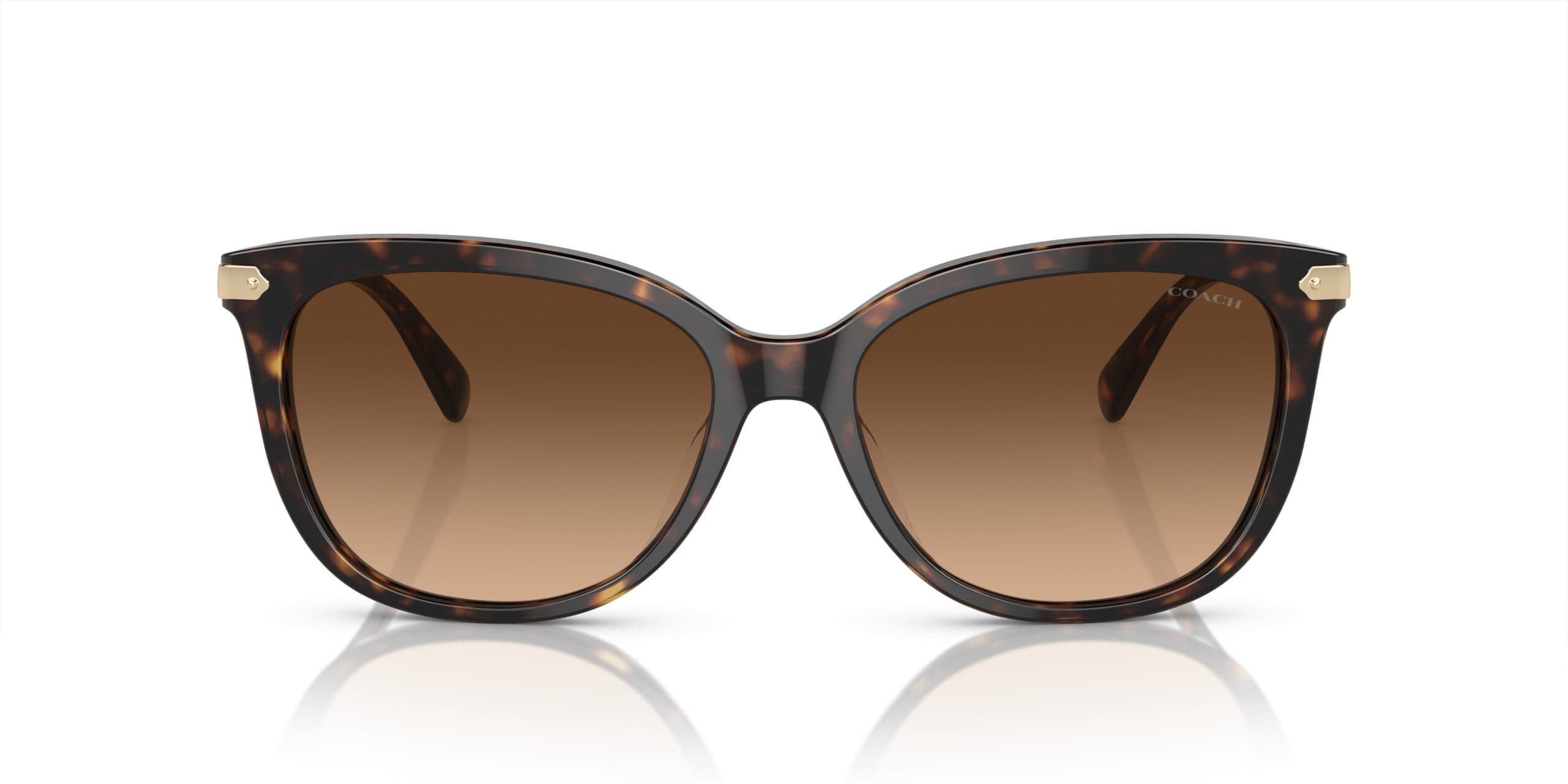 Coach HC8378U CL926 512074 Sunglasses Brown 145mm Women 2