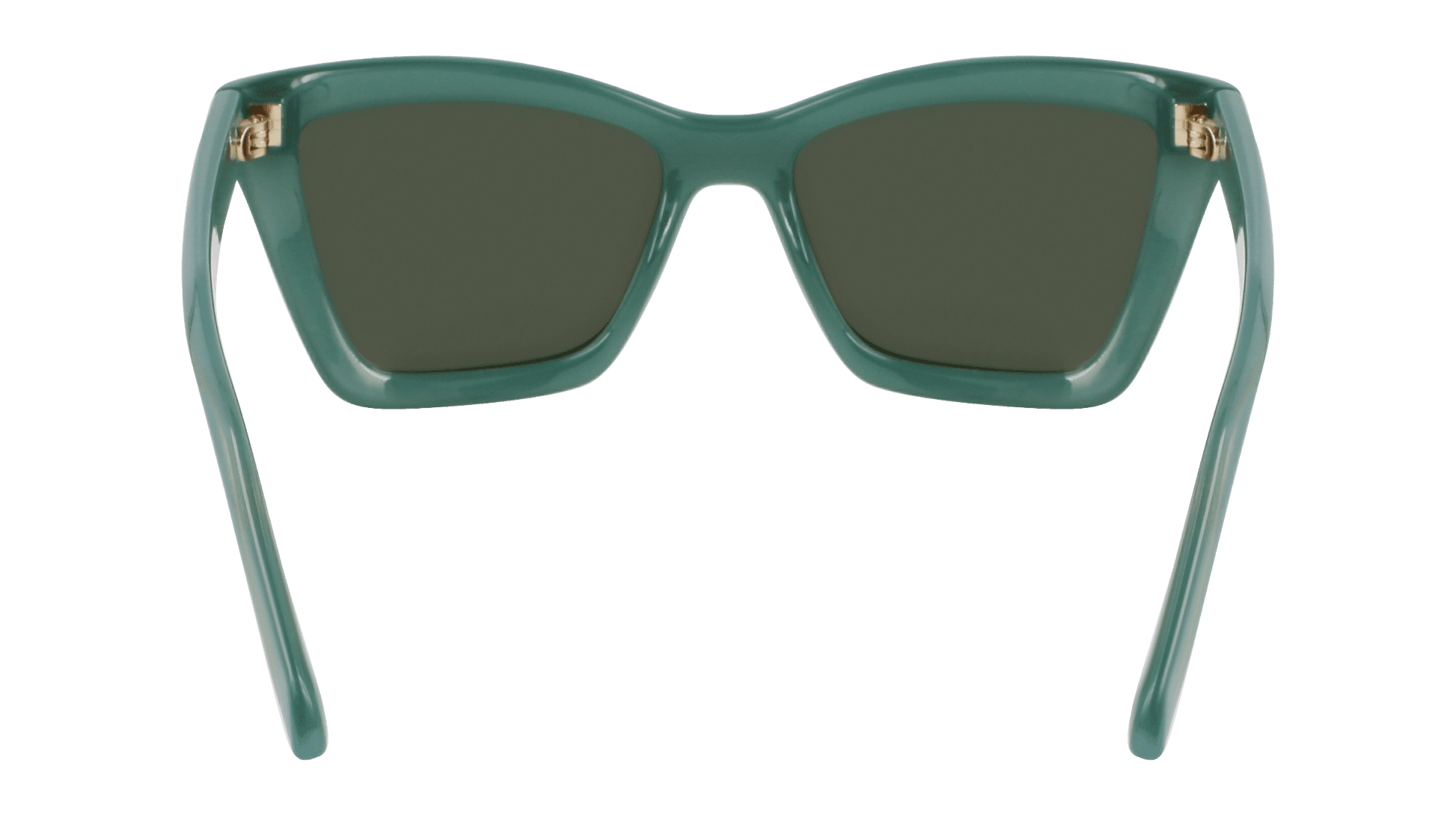 Salvatore Ferragamo SF2039SE 339 Sunglasses Opaline Green 53mm 4