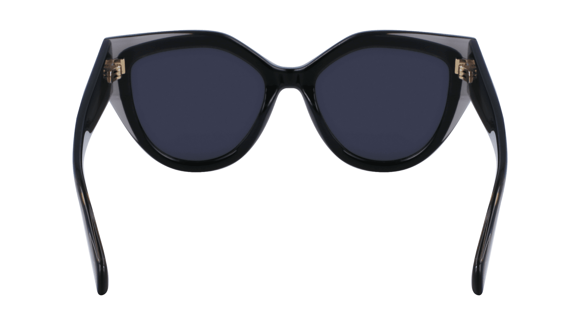 Salvatore Ferragamo SF2004S 024 Sunglasses Transparent Grey 53mm 4