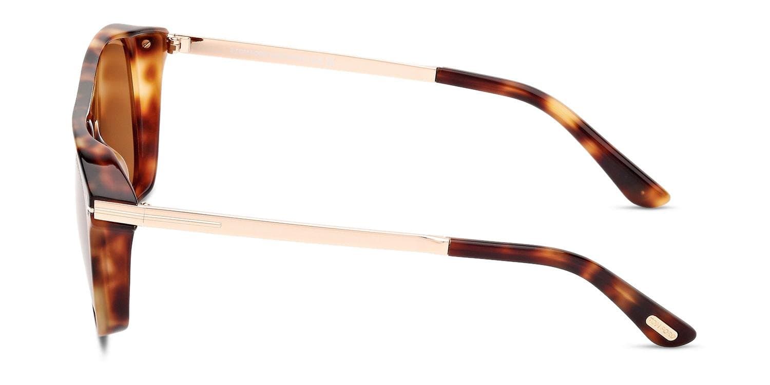 Tom Ford FT1105 55E Sunglasses Coloured Havana 55mm 3