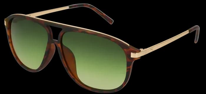 Puma PE0042SA 002 Sunglasses Havana 58mm Men