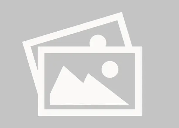 Sophia Loren SL1570 069 Eyeglasses Apricot 54mm Women