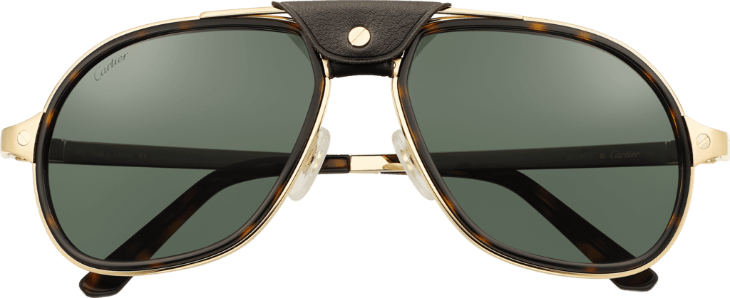 Cartier CT0241S 002 Sunglasses Havana 57mm Men 2