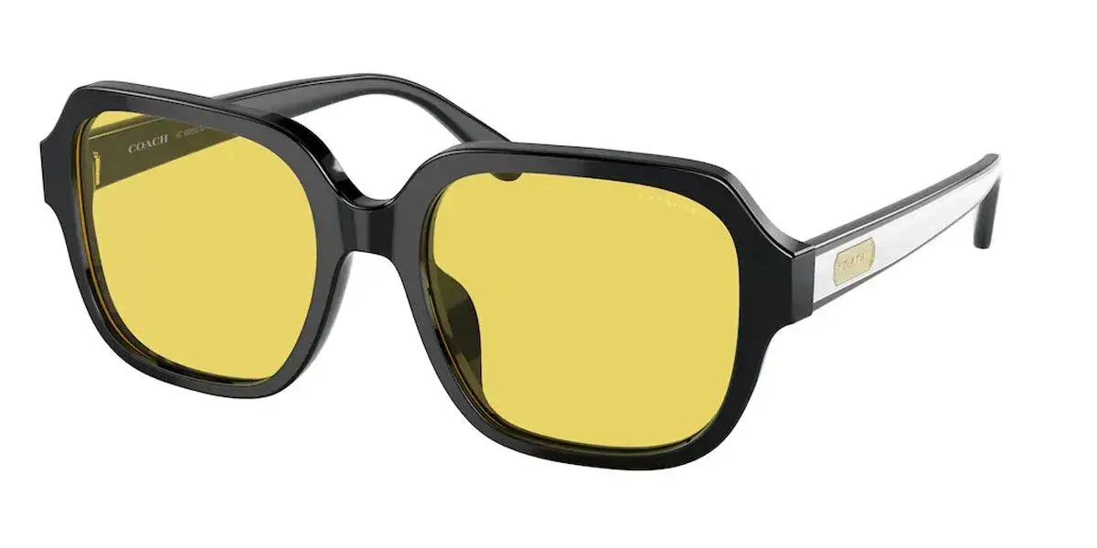 Coach C7989 Sunglasses Black 53mm Women