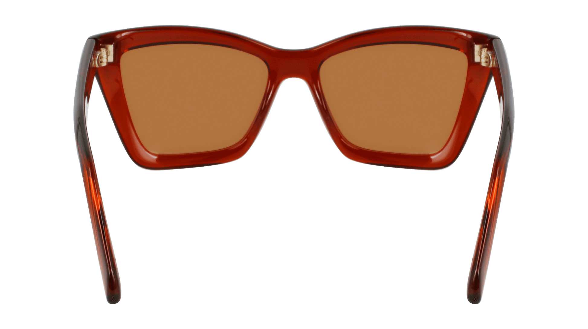 Salvatore Ferragamo SF2039SE 224 Sunglasses Transparent Rust 53mm 4
