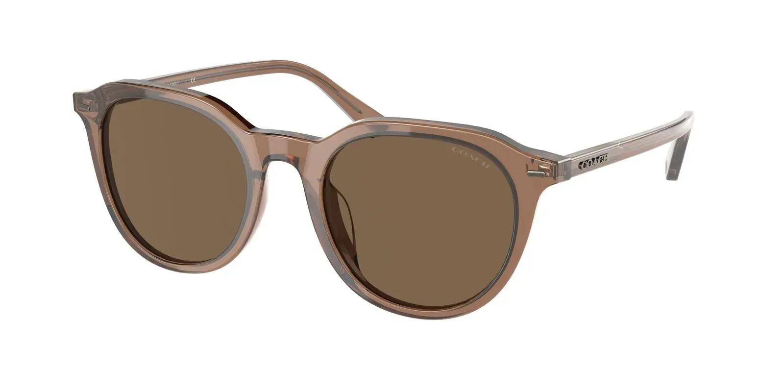 Coach HC8339U 567273 Sunglasses Transparent Brown 52mm Women