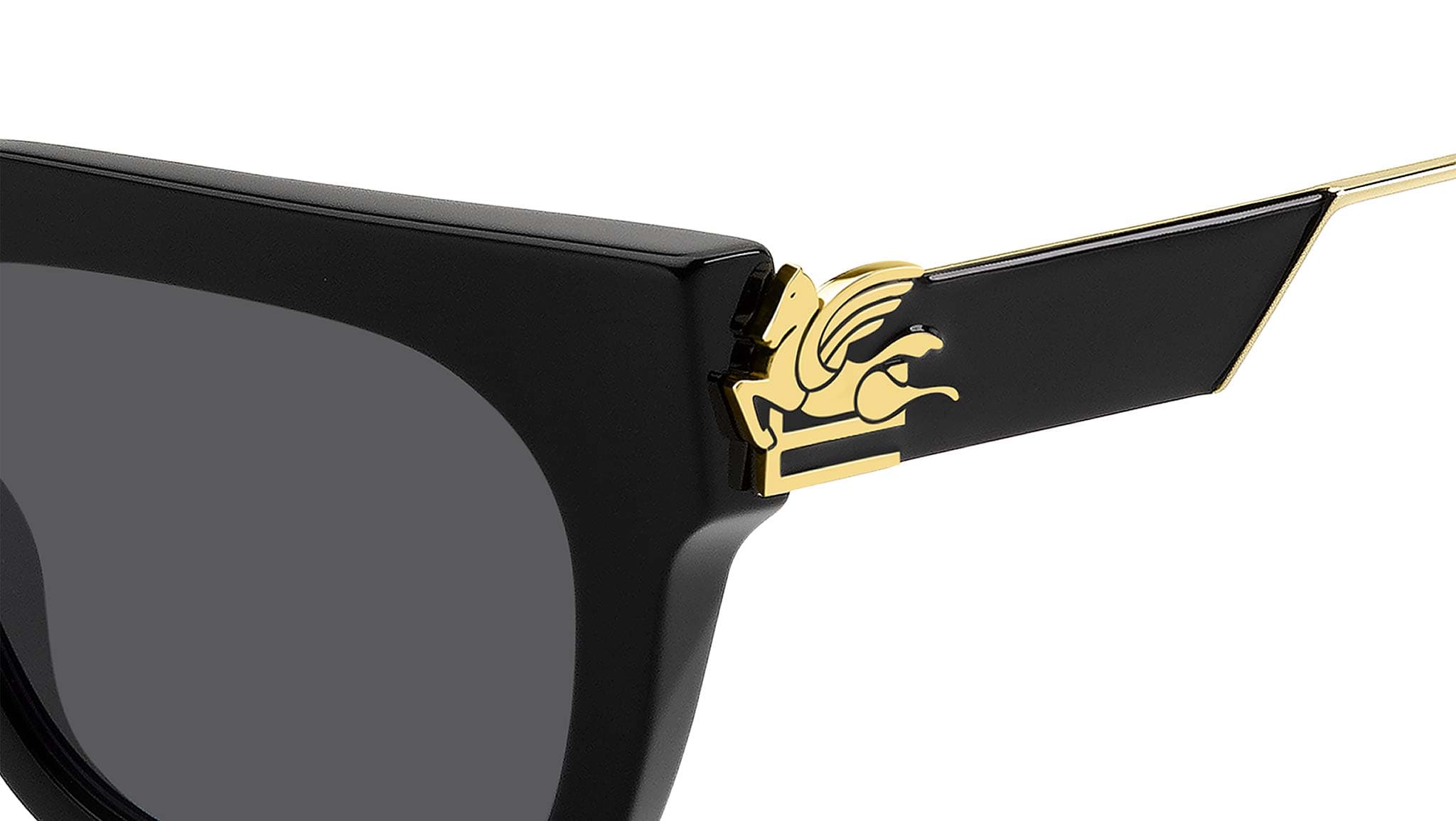 Etro ETRO 0027/G/S 0807 IR Sunglasses Black 52mm Women 3