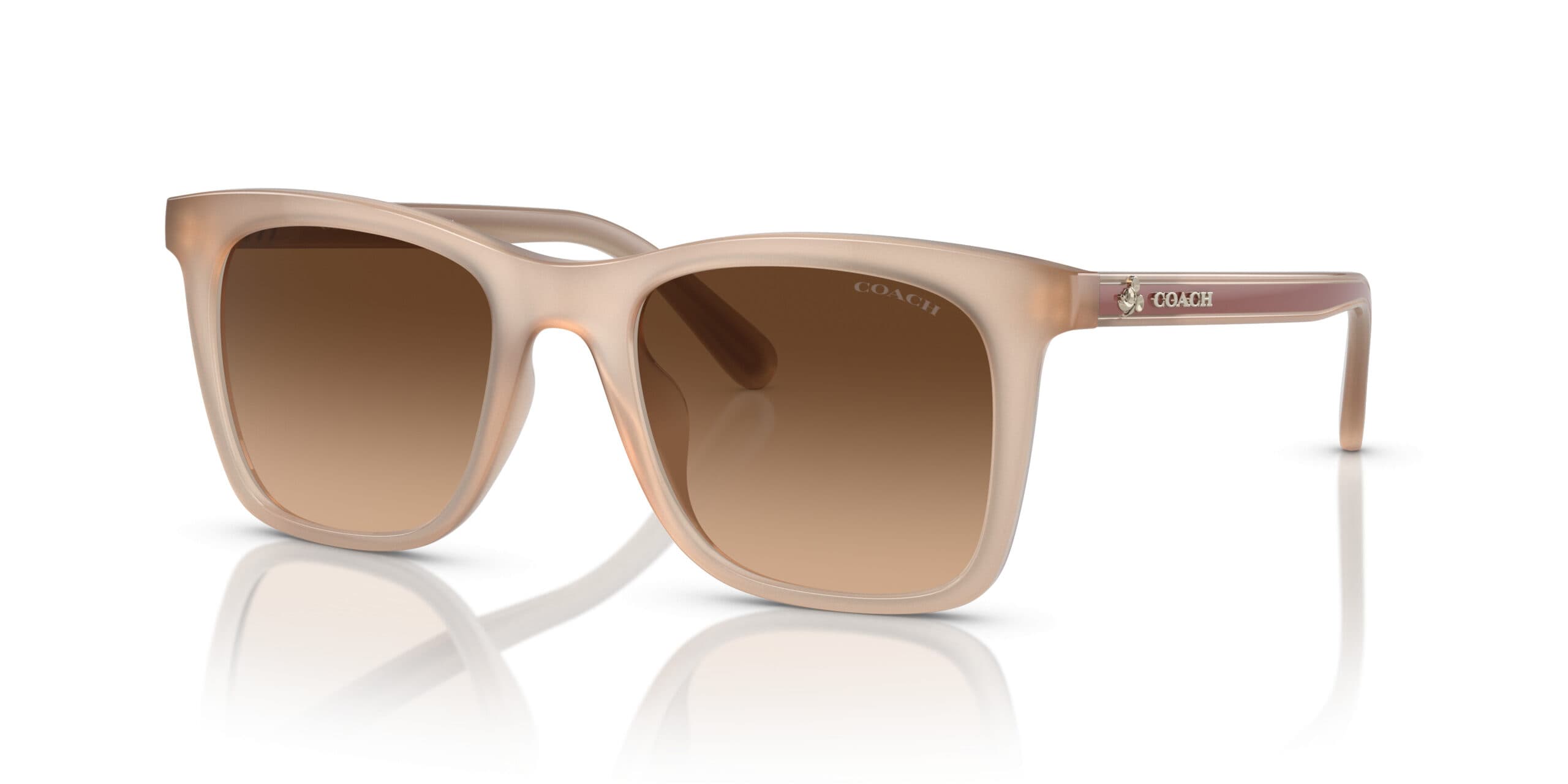 Coach HC8132 L109 529113 Sunglasses Milky Ivory 51mm Women