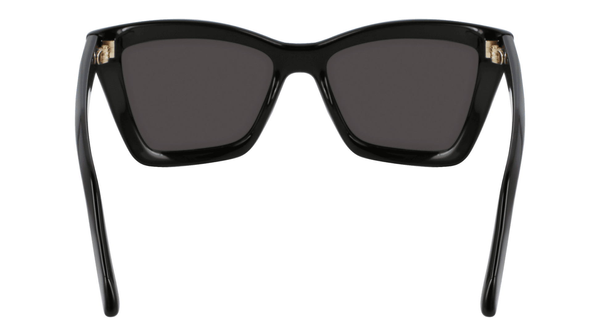 Salvatore Ferragamo SF2039SE 001 Sunglasses Black 53mm 4
