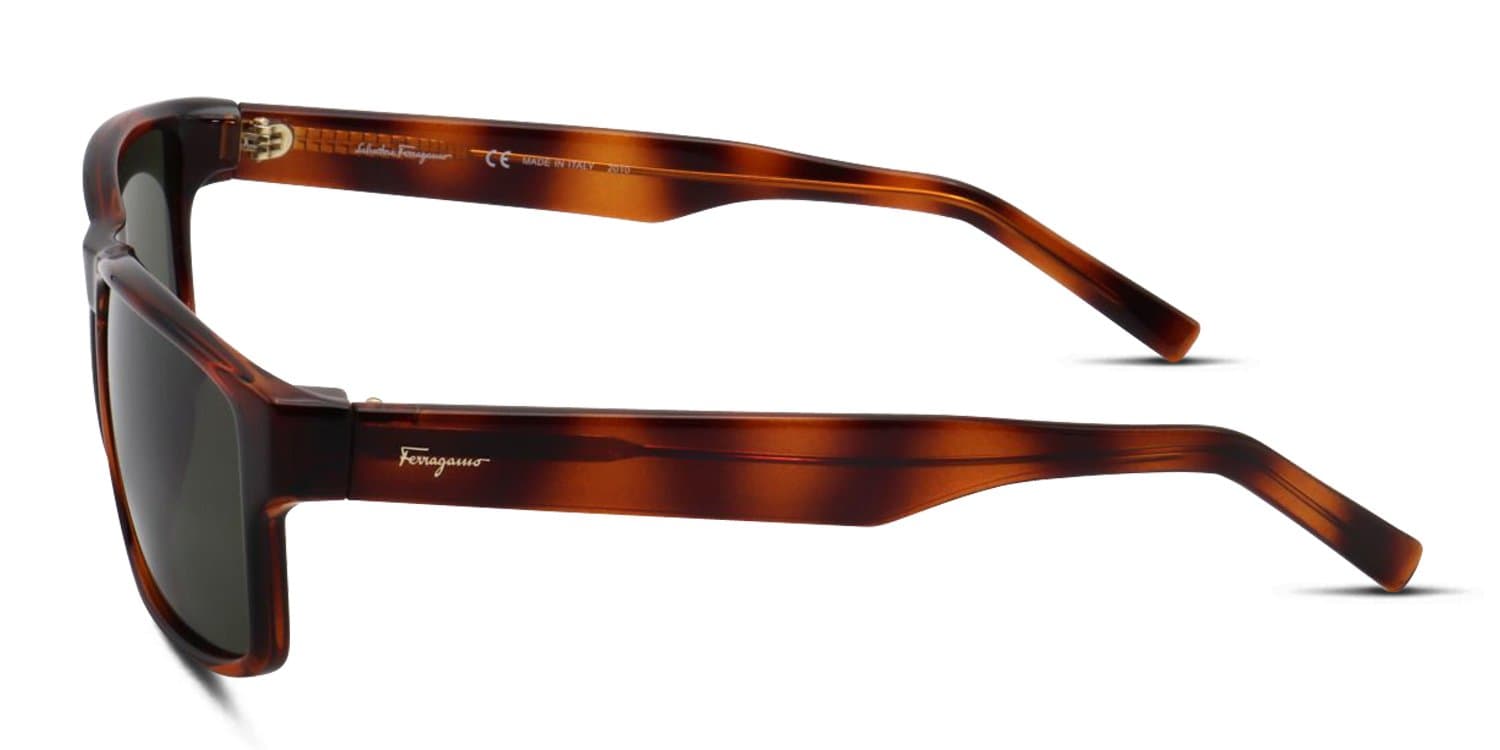 Salvatore Ferragamo SF960S 214 Sunglasses Tortoise 58mm 3