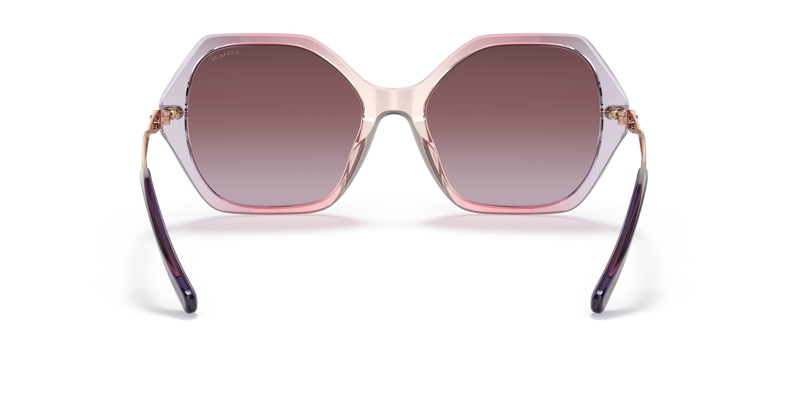 Coach HC8315 C3445 56418H Sunglasses Multicolor 140mm Women 3