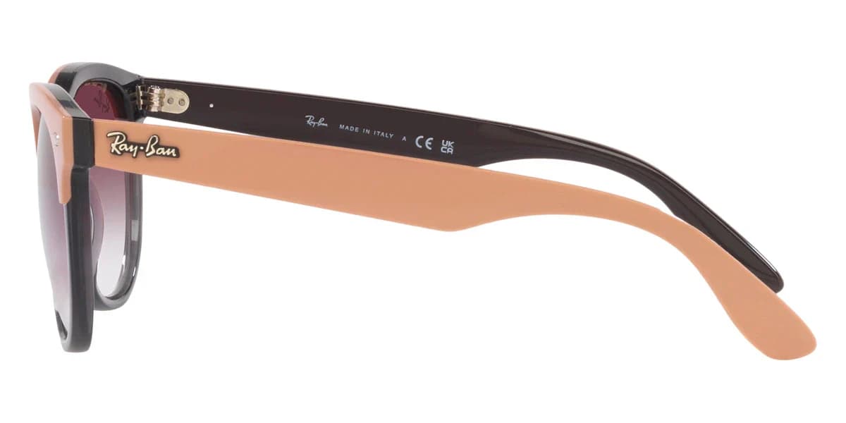 Ray-Ban RB4471 IRIS 66338H Sunglasses Black Beige 54mm Women