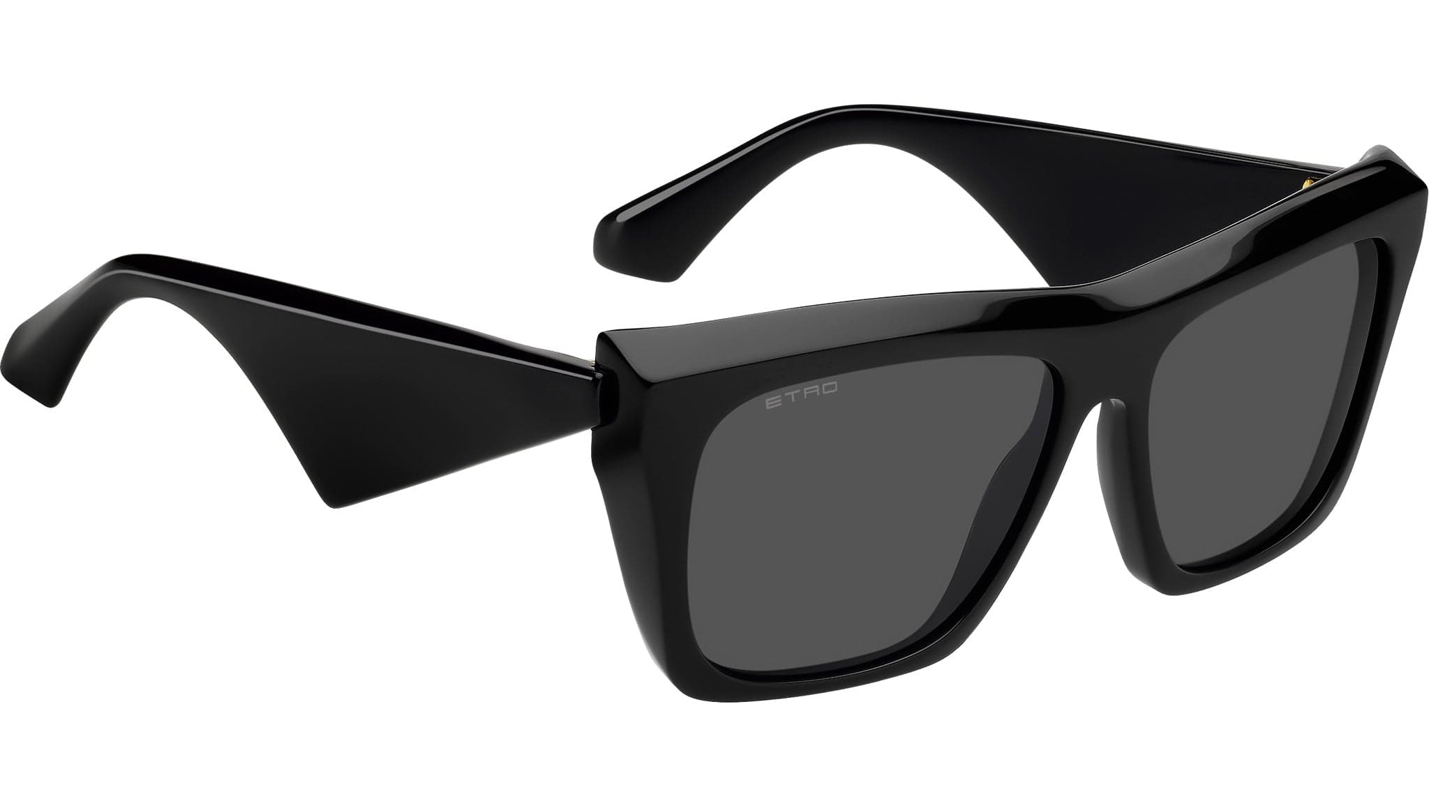Etro ETRO 0095/S 0807 IR Sunglasses Black 57mm Women 4