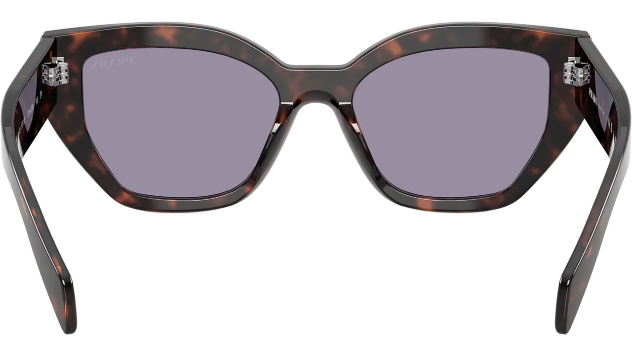 Prada 0PR A09SF 17N03N Sunglasses Root Tortoise 55mm Women 4