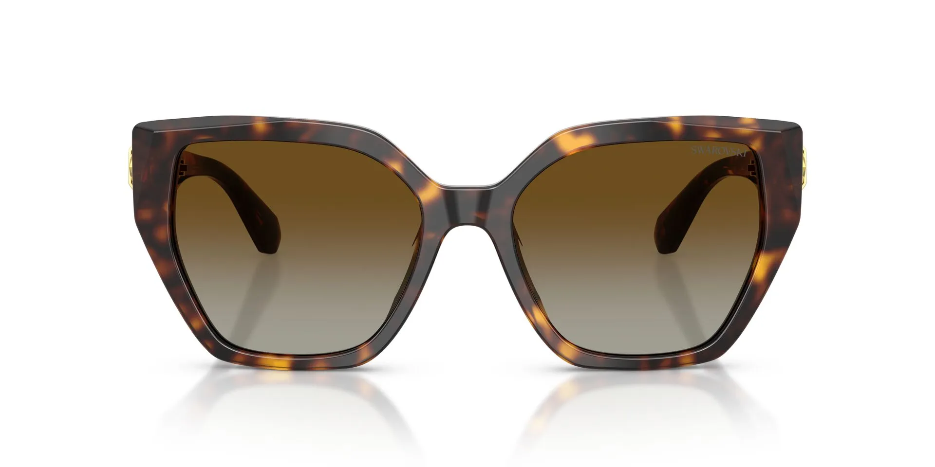 Swarovski SK6044U 1002T5 Sunglasses Havana 56mm Women 2