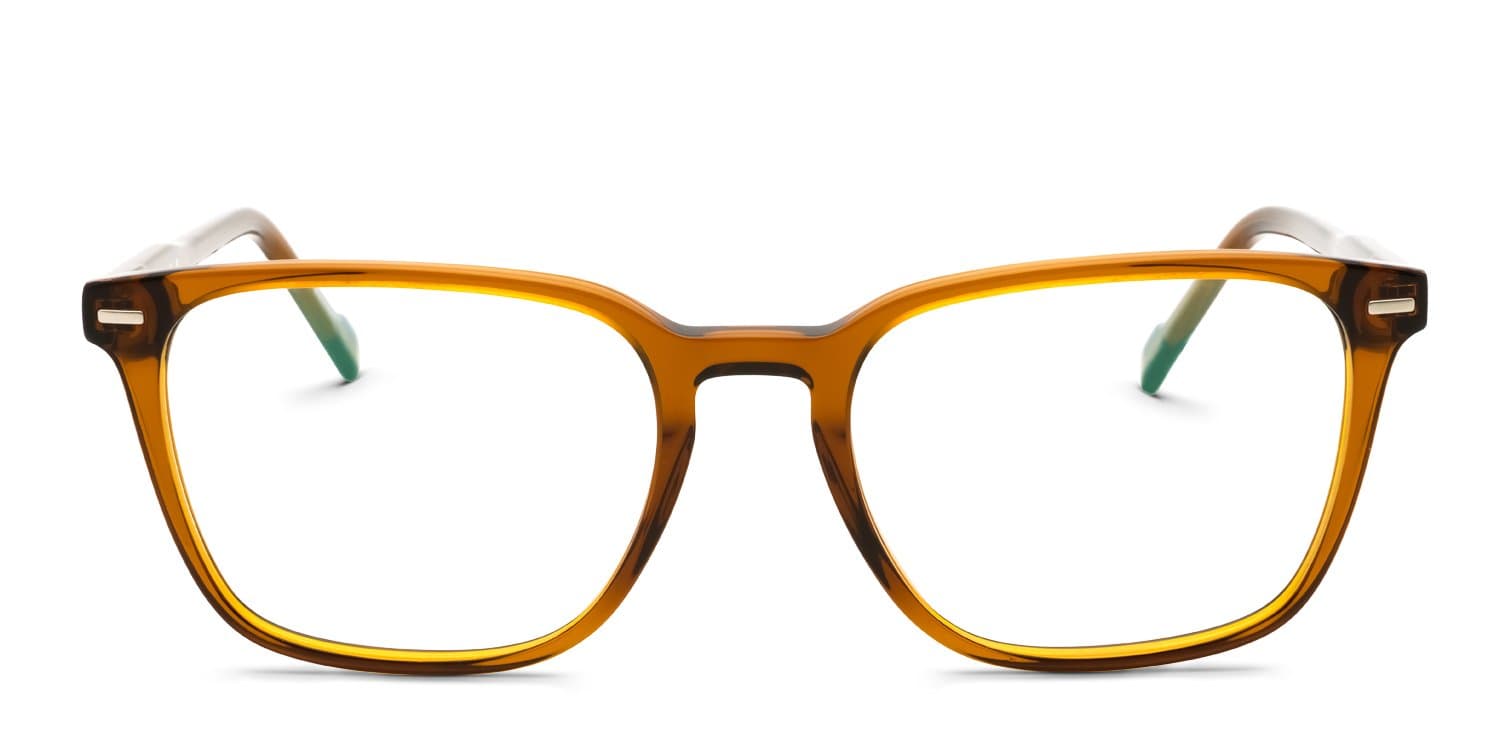 Zeiss ZS24549 200 Eyeglasses Transparent Brown 52mm Men 2