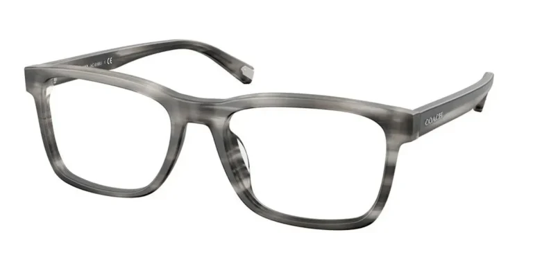 Coach Eyeglasses Unisex 0HC6166U Matte Grey Horn