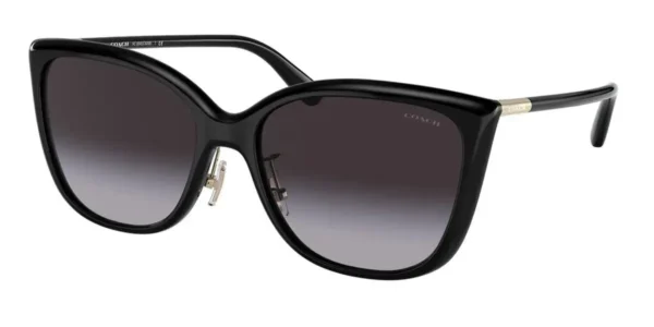 Coach Sunglasses Women C9206 Black