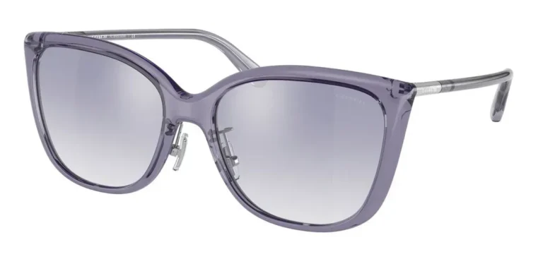 Coach Sunglasses Women HC8345 Transparent Purple