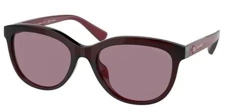 Coach Sunglasses Women L1137 Transparent Burgundy