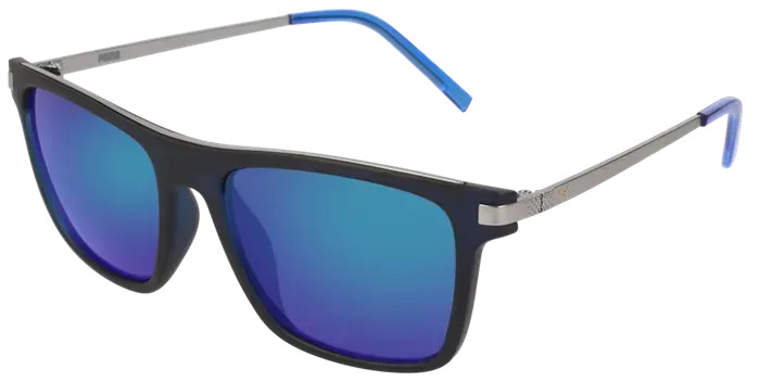 Puma Sunglasses Men PE0043 Blue